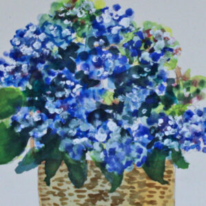 Hydrangea Basket