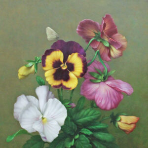 Pansies