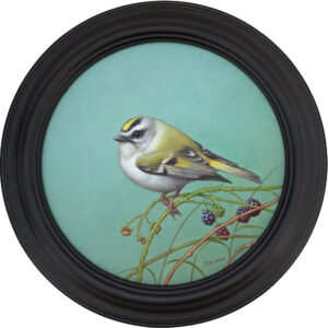 Golden-crowned Kinglet
