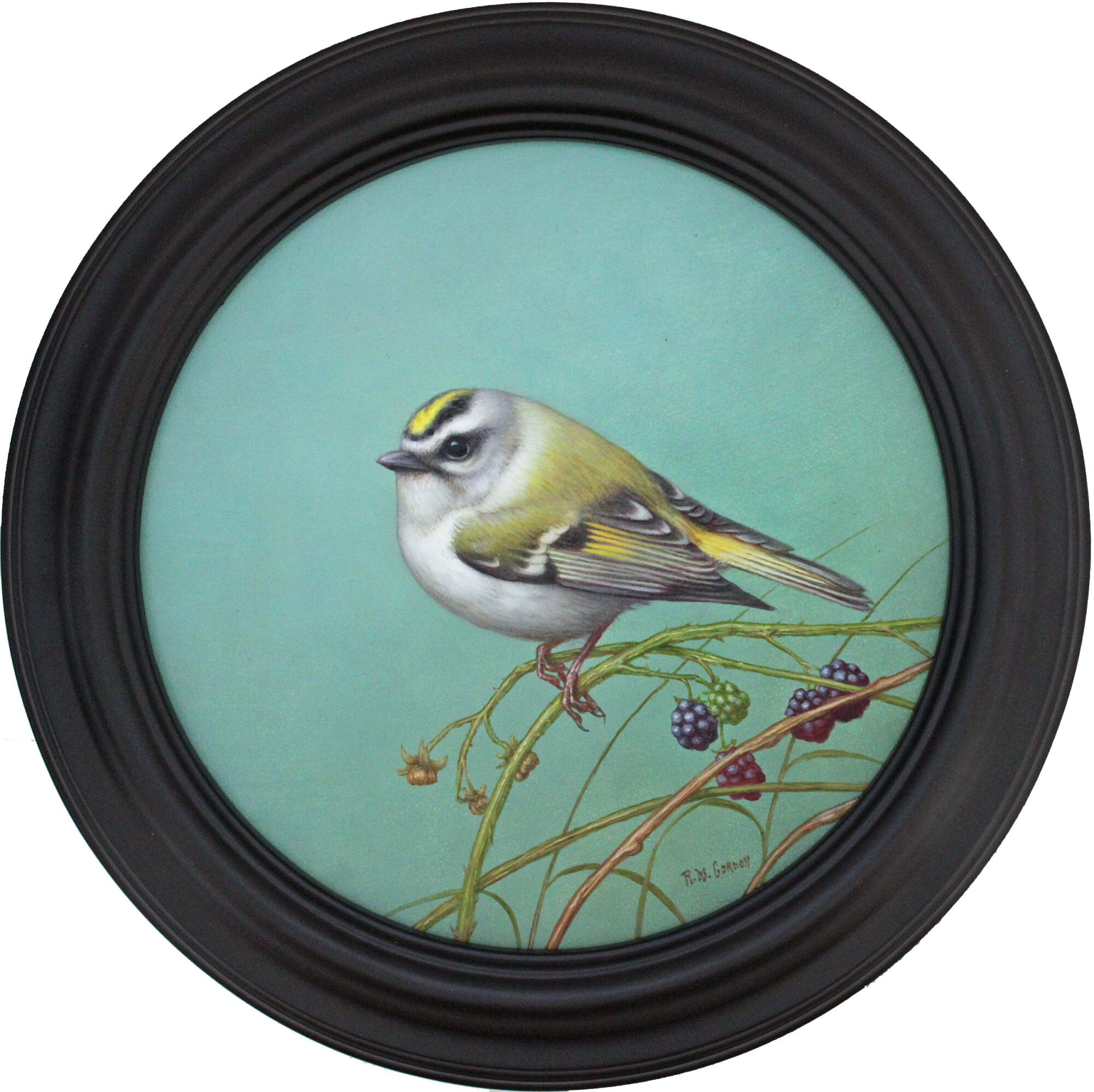 Golden-crowned Kinglet
