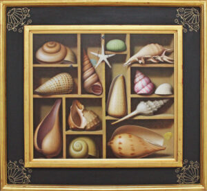 Shell Collection