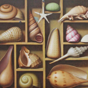 Shell Collection