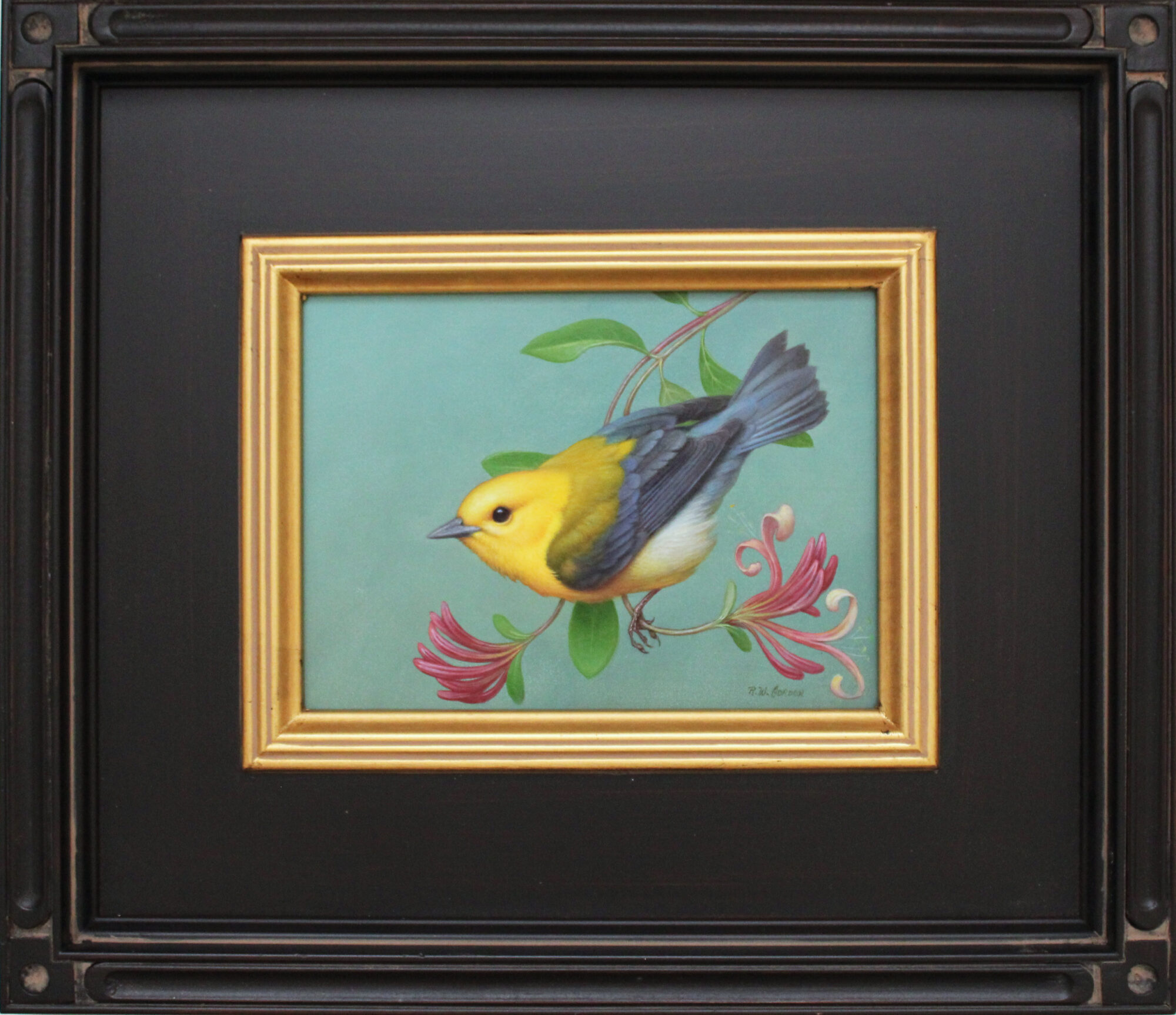 Summer Warbler