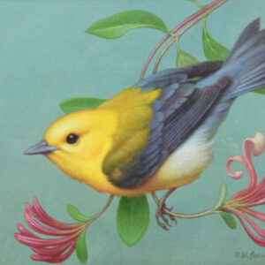 Summer Warbler