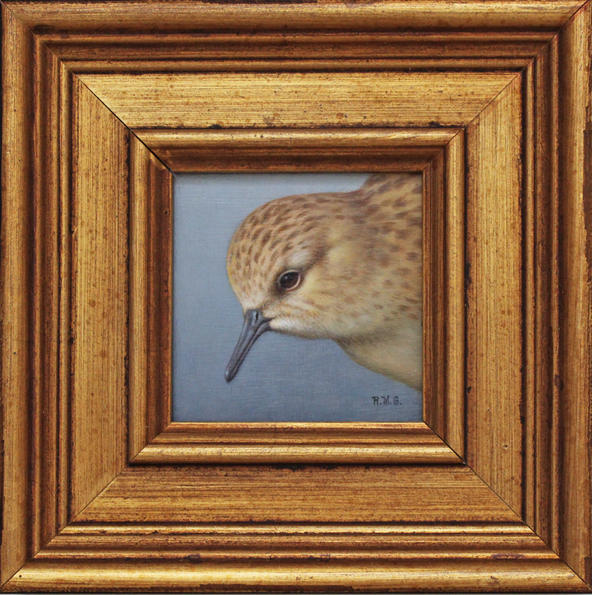 Sandpiper