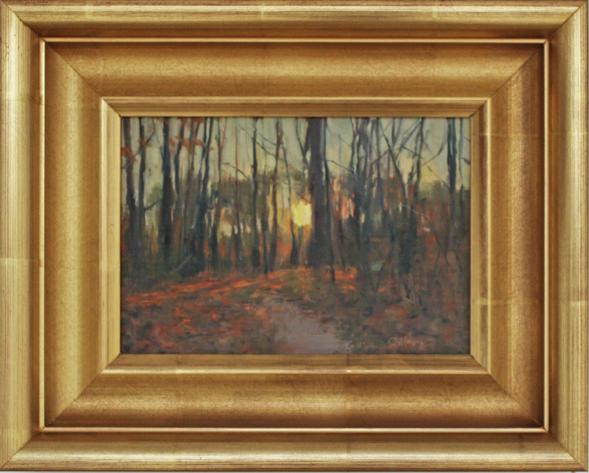 Sunrise through the Trees