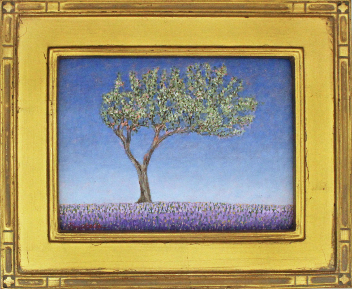 Lavender