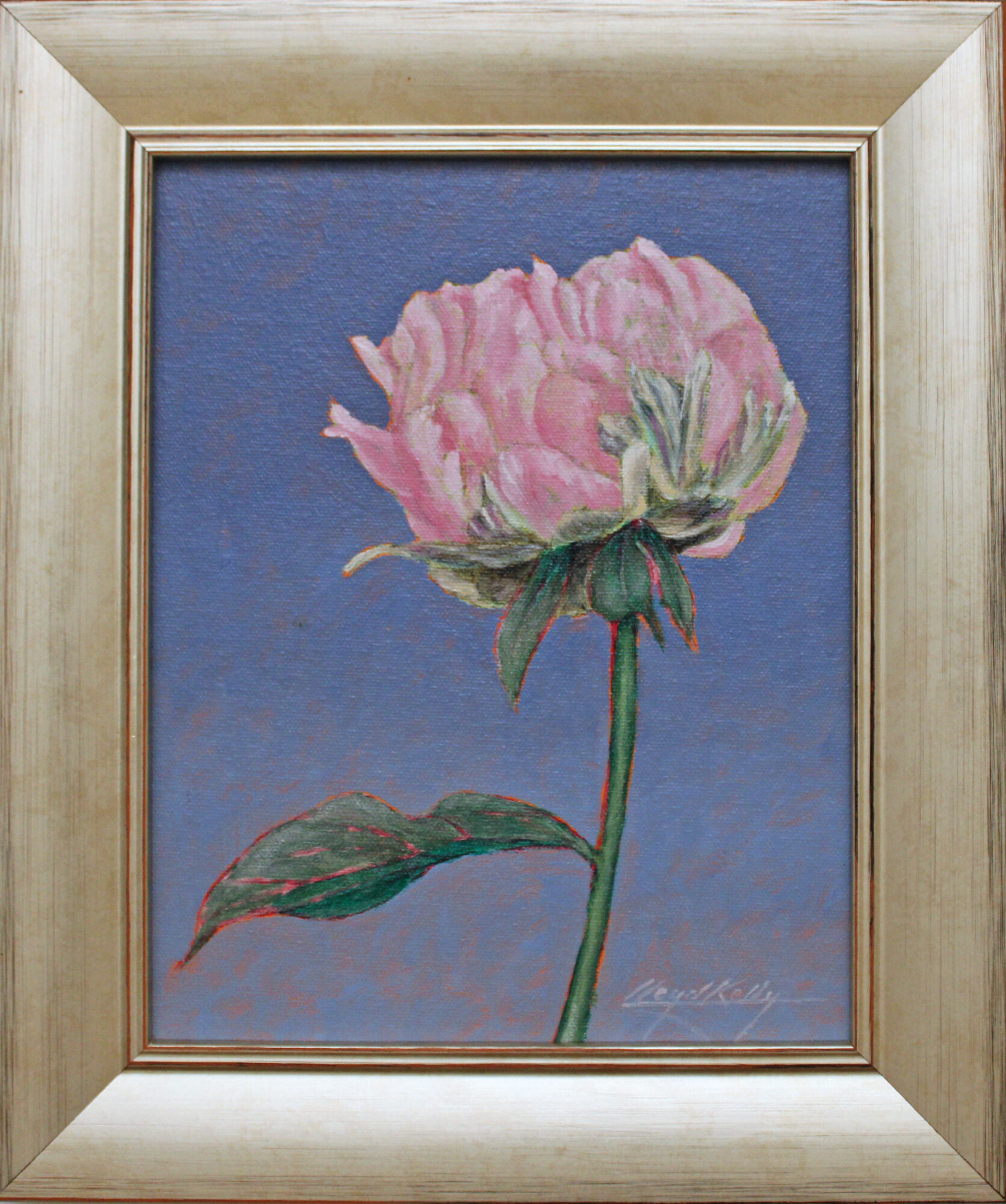 Peony Bud