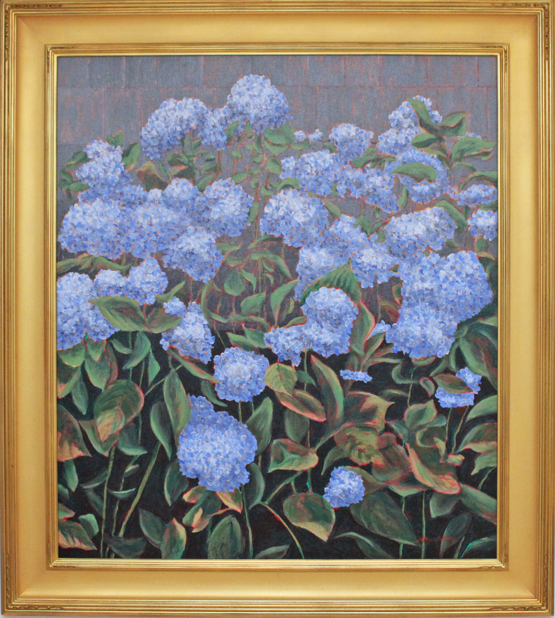 Hydrangea