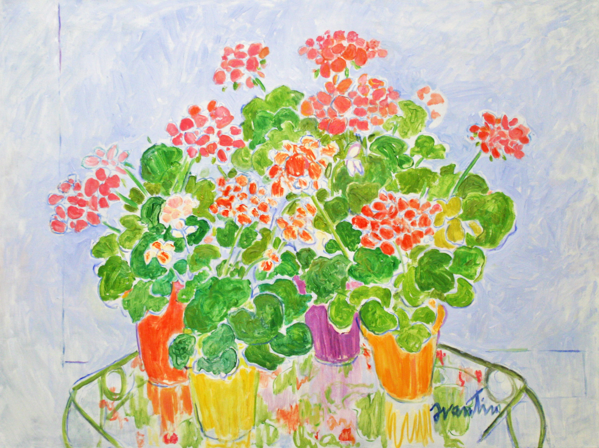 Potted Geraniums on Glass Table