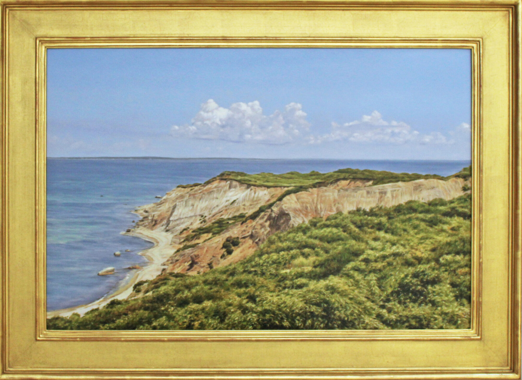 Aquinnah View