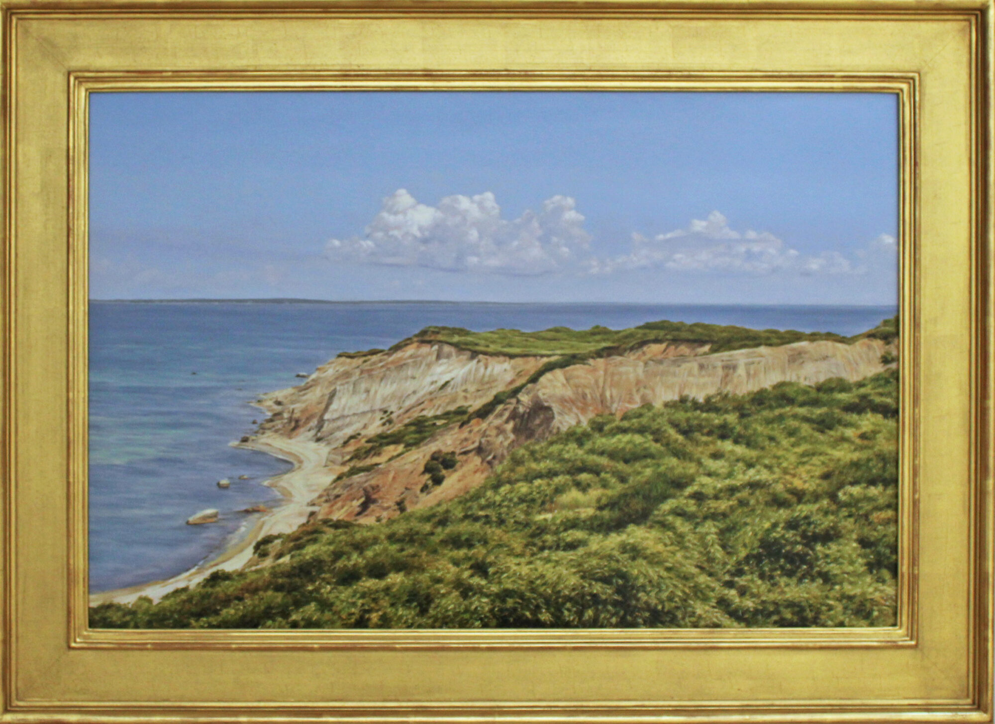 Aquinnah View