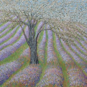 Lavender Hillside 32 x 32 oil on linen