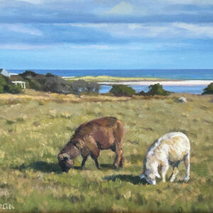 Allen Farm Graze