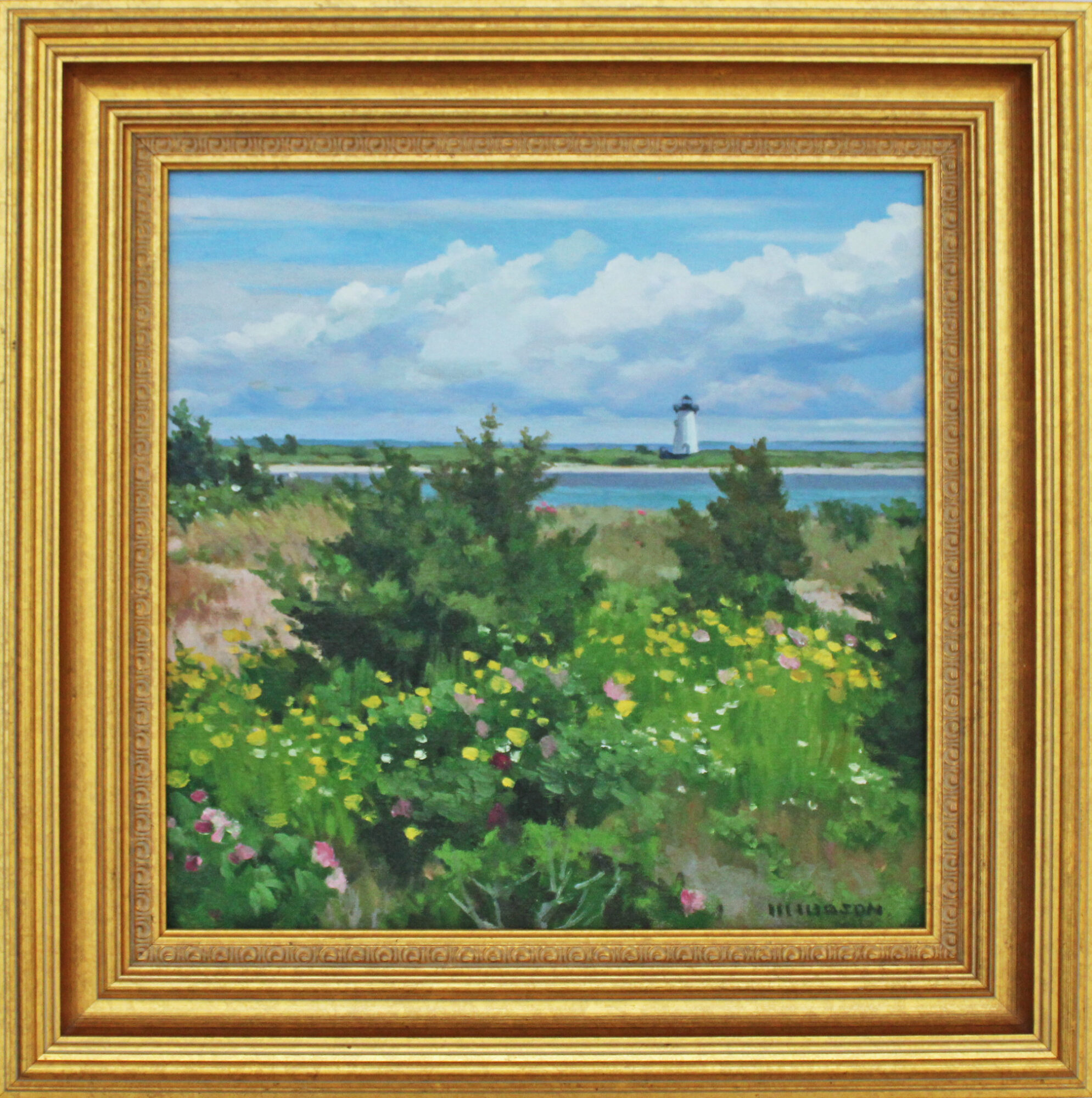 Chappy Sail Club View