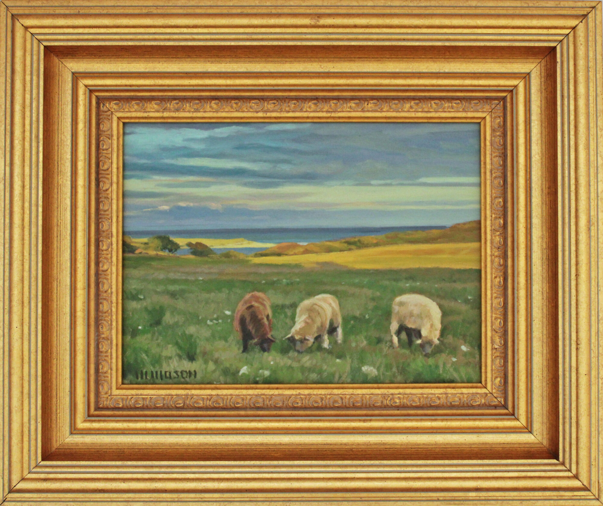 Three Sheep