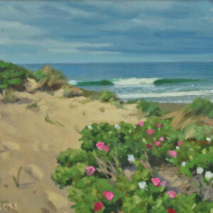 Moshup Dune Waves