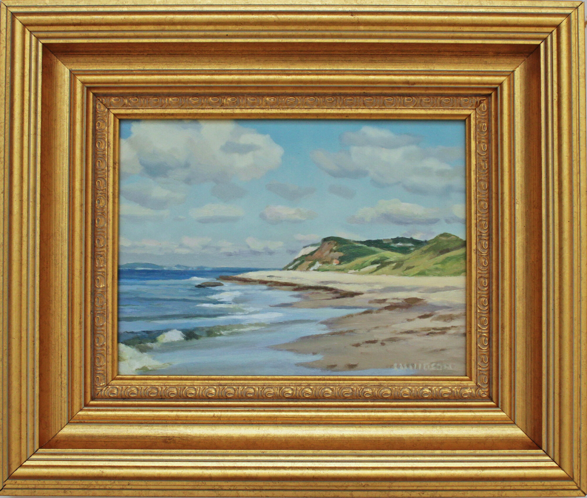 Aquinnah Morning