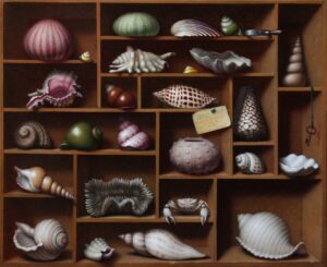 "Shell Collection" by Russell Gordon