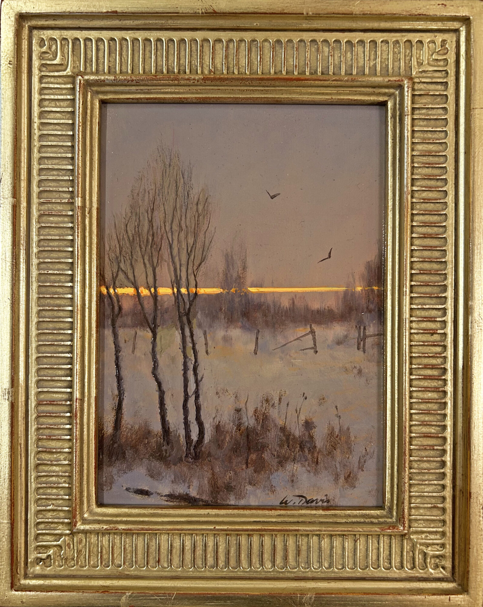 Winter Pasture