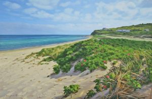 Menemsha Morning Rose Dune by Marjorie Mason